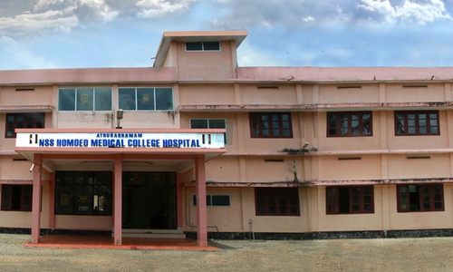 Athurasramam N.S.S. Homeopathic Medical College Kottayam About