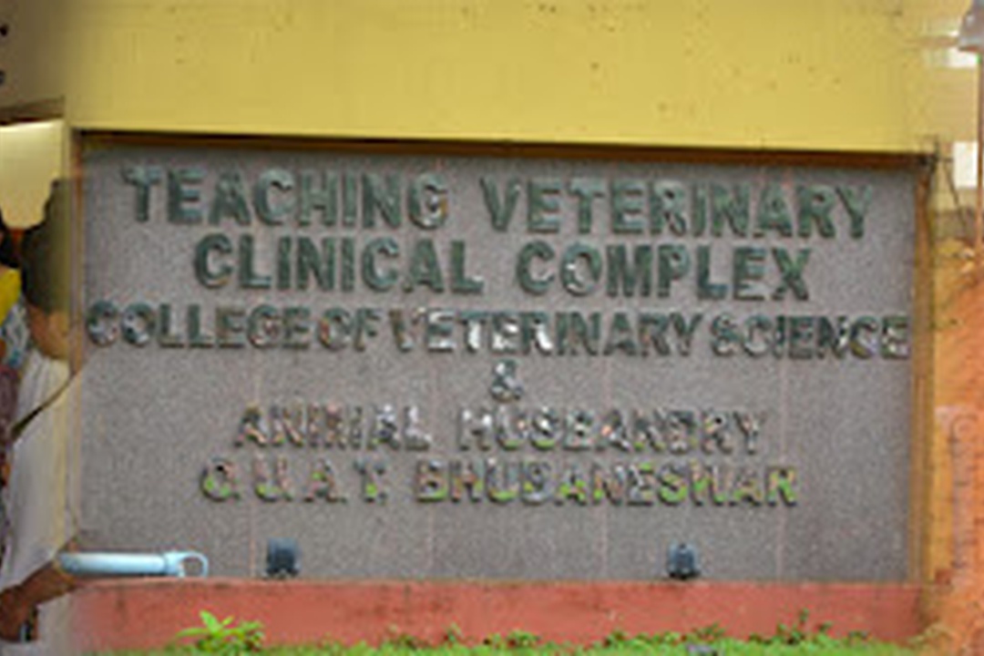 College Of Veterinary Science & Animal Husbandry Bhubaneswar - About ...